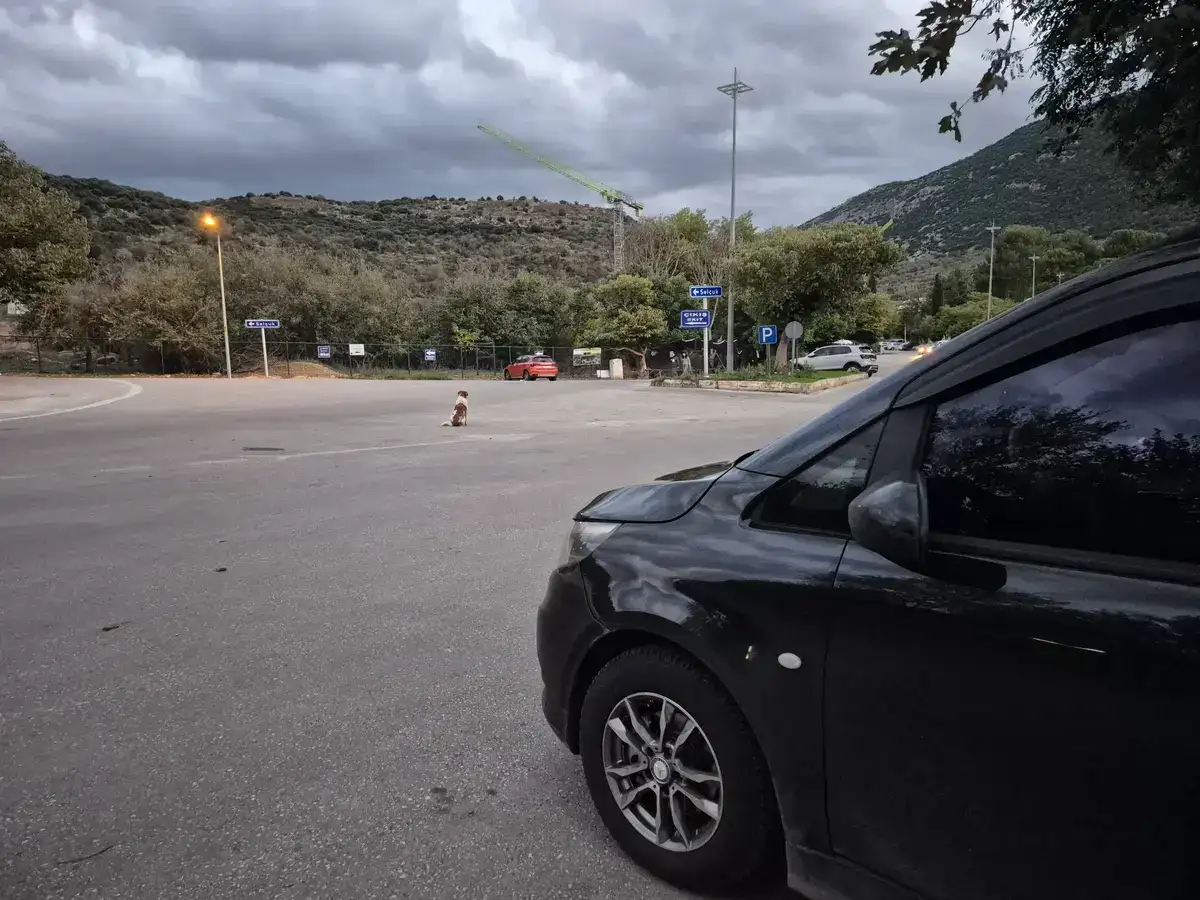 İzmir Havalimanı Şirince transfer için özel transfer aracı ve karşılama görseli